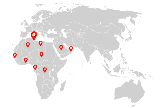 Global Portfolio of Distributed Solar Assets